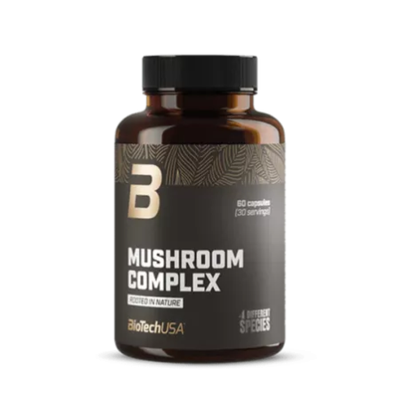 Complexe de 4 champignons