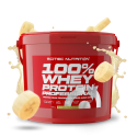 100% Whey Protein Professional