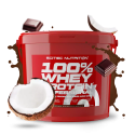100% Whey Protein Professional